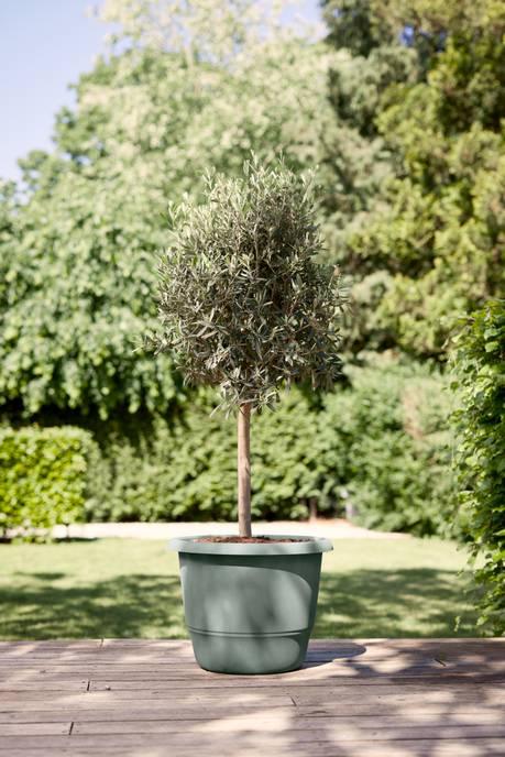 amiga rond 30cm tijmgroen